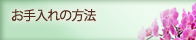 お手入れの方法